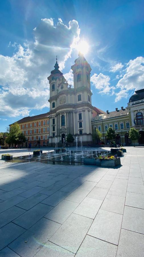 Central Home Apartment In The City Center Эгер Экстерьер фото